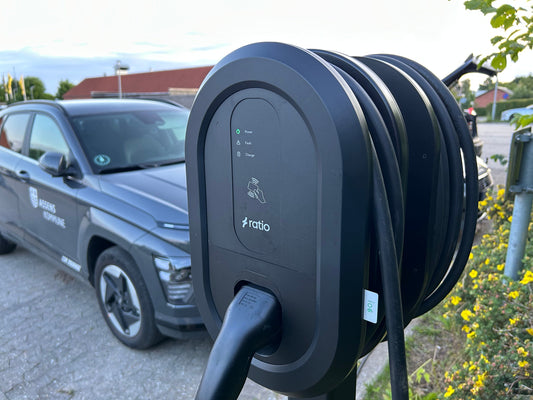 Case study - Assens Kommune