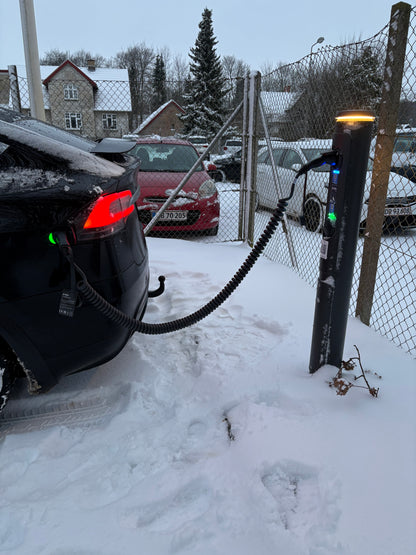 bil burger ratio lader i sne